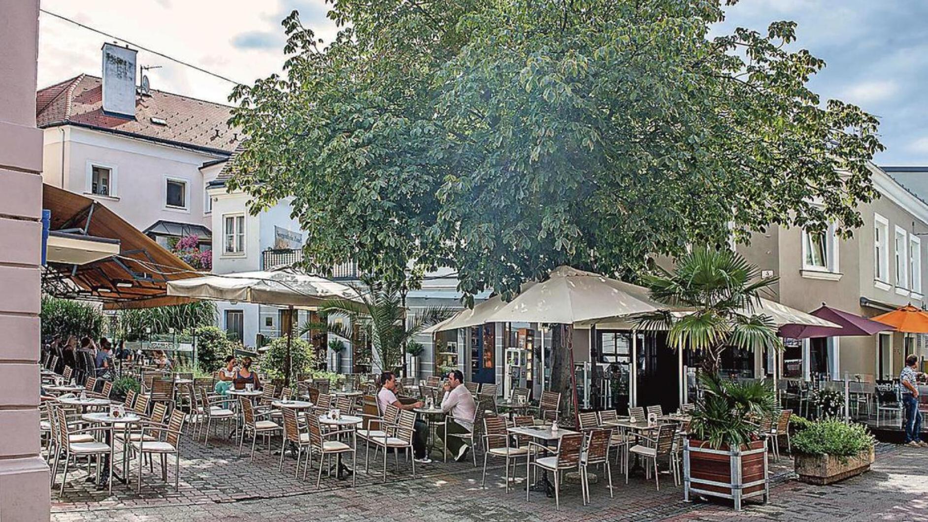 Top Appartement Fuer Business-Wohnen-Urlaub Wiener Neustadt Exterior foto